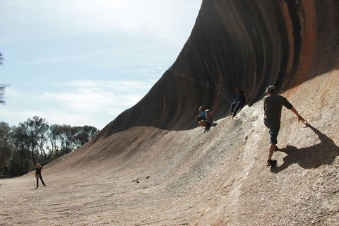 Wave Rock, Pinnacles And Rottnest One Day Aeroplane Tour - Accommodation NT 5
