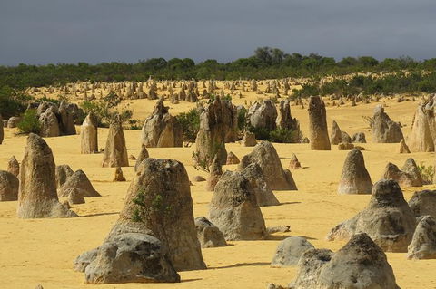 Wave Rock, Pinnacles And Rottnest One Day Aeroplane Tour - Accommodation NT 4