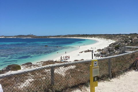 Wave Rock, Pinnacles And Rottnest One Day Aeroplane Tour - Accommodation NT 7