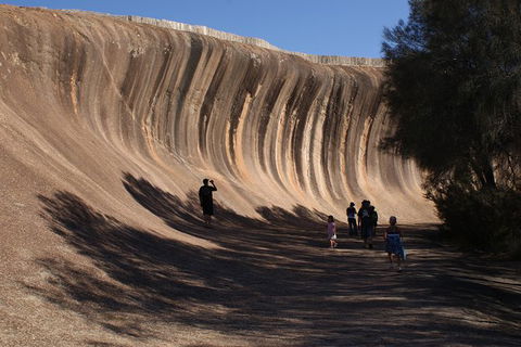 Wave Rock, Pinnacles And Rottnest One Day Aeroplane Tour - Accommodation NT 2