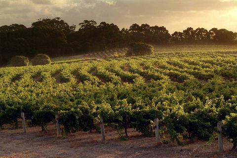 Flight To Leeuwin Winery For Lunch - Accommodation NT 5