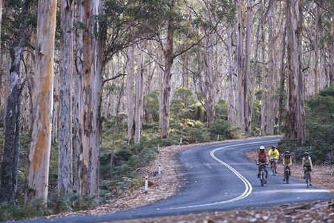 Margaret River And Geographe Bay Region Day Trip From Perth - Accommodation NT 6