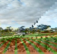 Vasse Felix Winery Tour and Tasting - Accommodation NT