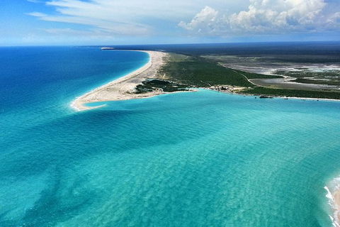 Mitchell Falls Tour - Mt Hart, Mitchell Falls, Horizontal Falls & Cape Leveque - Accommodation NT 3