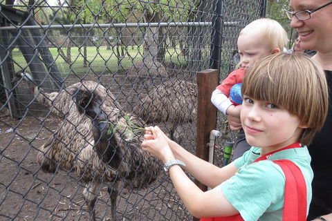 Swan Valley Half-Day Food Tour And Wine Trail From Perth - Accommodation NT 6
