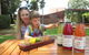 Swan Valley Half-Day Food Tour And Wine Trail From Perth - thumb 8