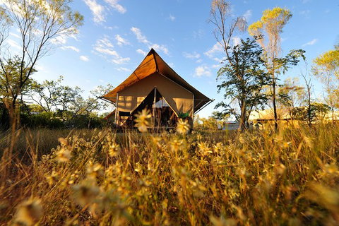 APT Kimberley Wilderness Adventures Purnululu (Bungle Bungle) 4WD Experience - NT Tourism 10