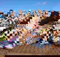 Margies Big Day Out Beer  Wine Tours - Accommodation NT