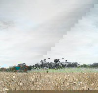 Electric Bike Winery and Brewery Tour - Accommodation NT