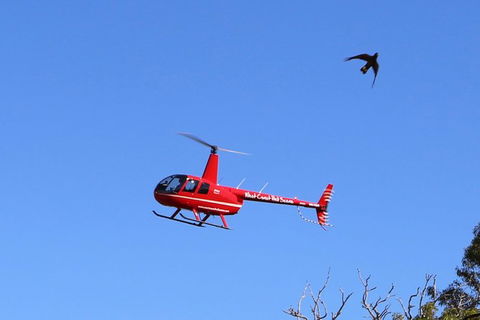 Two Rocks Marina Helicopter Flight For 3 Passengers - Accommodation NT 0