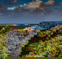 Guided Walks on the Cape to Cape - Wilyabrup Cliffs - Accommodation NT