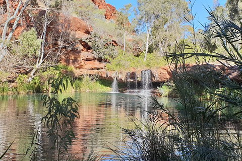 20 Day Perth To Darwin Adventure - Accommodation NT 3