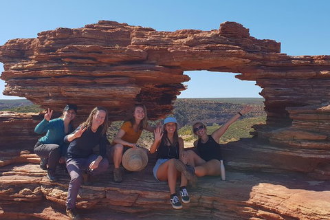 20 Day Perth To Darwin Adventure - Accommodation NT 4