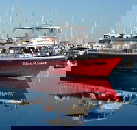 Perth Deep Sea Fishing Trip - Accommodation NT