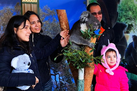 Caversham Wildlife Park, Old Guildford Town & Swan Valley Tour - Accommodation NT 1