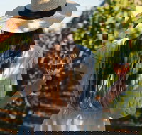 7 Hour Full Day Tour Morning Tea Chocolate Olives 3 Wineries  Lunch - Accommodation NT