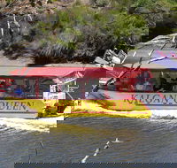 Kalgan Queen Scenic Cruises a four hour sheltered water wildlife tour daily fun. - Accommodation NT