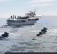 Busselton Whale Watching Eco Tour - Accommodation NT