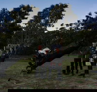 Dusk to Dawn Astronomy Margaret River - Accommodation NT