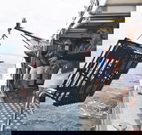 Rottnest Island Wild Seafood Package from Perth with Transfer - Accommodation NT