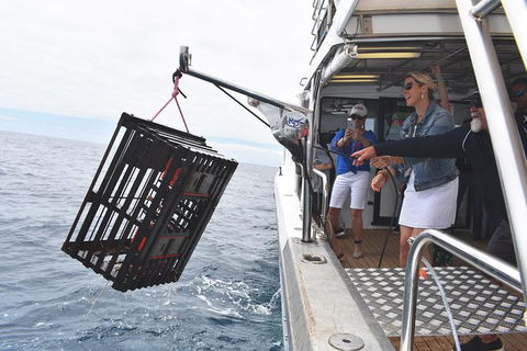 Rottnest Island Wild Seafood Package From Perth With Transfer - Accommodation NT 0