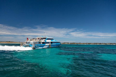 Rottnest Island Wild Seafood Package From Perth With Transfer - Accommodation NT 1