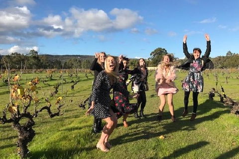 VW Kombi Food, Wine And More Tour (bring The Kids!) - Accommodation NT 3