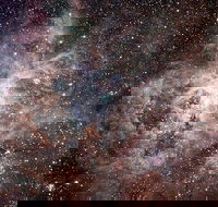 Overnight Astronomy Experience Ningaloo - Yardie Homestead - Accommodation NT