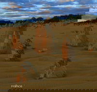 Pinnacles sunset and Night photography Private day Tour - Accommodation NT