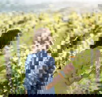 5 Hours Wineries Coffee Tasting Forest  Lunch at the Berry Farm - Accommodation NT