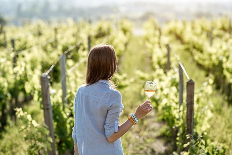 5 Hours Wineries, Coffee Tasting, Forest & Lunch At The Berry Farm - Accommodation NT 0