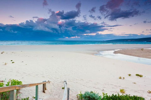 5 Hours Wineries, Coffee Tasting, Forest & Lunch At The Berry Farm - Accommodation NT 7