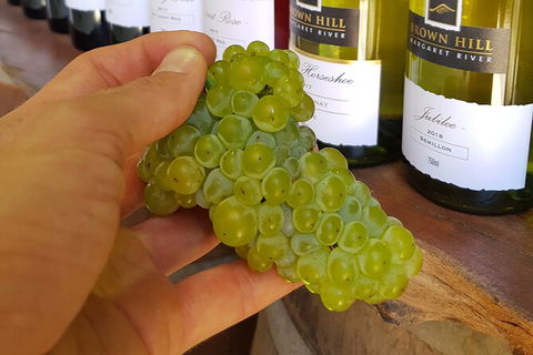 5 Hours Wineries, Coffee Tasting, Forest & Lunch At The Berry Farm - Accommodation NT 12