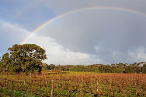 5 Hours Wineries, Coffee Tasting, Forest & Lunch At The Berry Farm - Accommodation NT 20