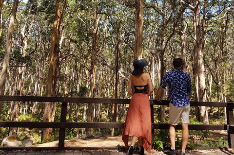 5 Hours Wineries, Coffee Tasting, Forest & Lunch At The Berry Farm - Accommodation NT 11