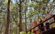 5 Hours Wineries, Coffee Tasting, Forest & Lunch At The Berry Farm - thumb 4