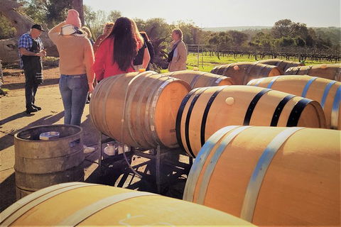 5 Hours Wineries, Coffee Tasting, Forest & Lunch At The Berry Farm - Accommodation NT 2