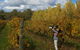 5 Hours Wineries, Coffee Tasting, Forest & Lunch At The Berry Farm - thumb 17