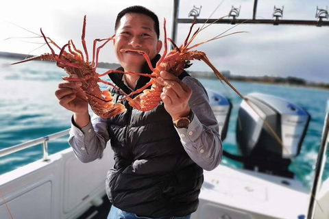 Premium Live Lobster Tours Presented Sashimi Or BBQ Style - Accommodation NT 1