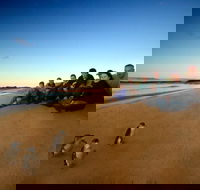 Phillip Island Ultimate Penguin Eco Tour or Skybox Experience - Accommodation NT