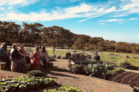 Bellarine Taster: Gin, Cider, Wine And Lunch Tour - Accommodation NT 8