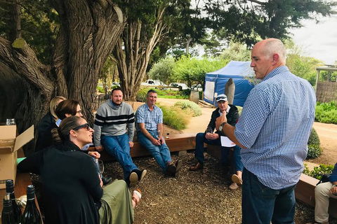 Bellarine Taster: Gin, Cider, Wine And Lunch Tour - Accommodation NT 7