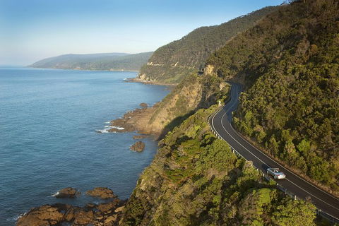 Private Great Ocean Road And Twelve Apostles Tour From Melbourne - Accommodation NT 5