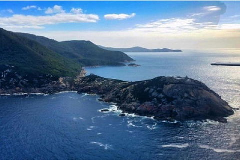 Wilsons Promontory Walking And Sightseeing Tour From Phillip Island - Accommodation NT 0