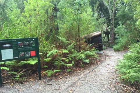 Wilsons Promontory Walking And Sightseeing Tour From Phillip Island - Accommodation NT 1
