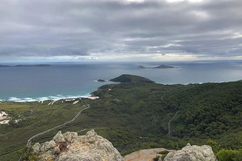 Wilsons Promontory Walking And Sightseeing Tour From Phillip Island - Accommodation NT 7