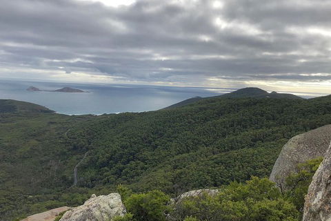 Wilsons Promontory Walking And Sightseeing Tour From Phillip Island - Accommodation NT 5
