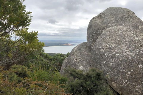 Wilsons Promontory Walking And Sightseeing Tour From Phillip Island - Accommodation NT 15