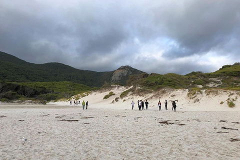 Wilsons Promontory Walking And Sightseeing Tour From Phillip Island - Accommodation NT 4