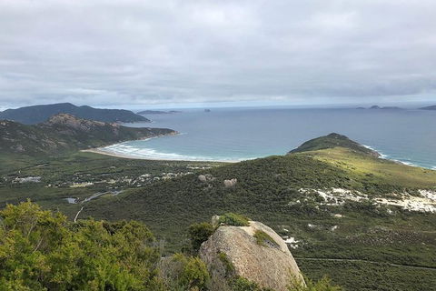 Wilsons Promontory Walking And Sightseeing Tour From Phillip Island - Accommodation NT 12